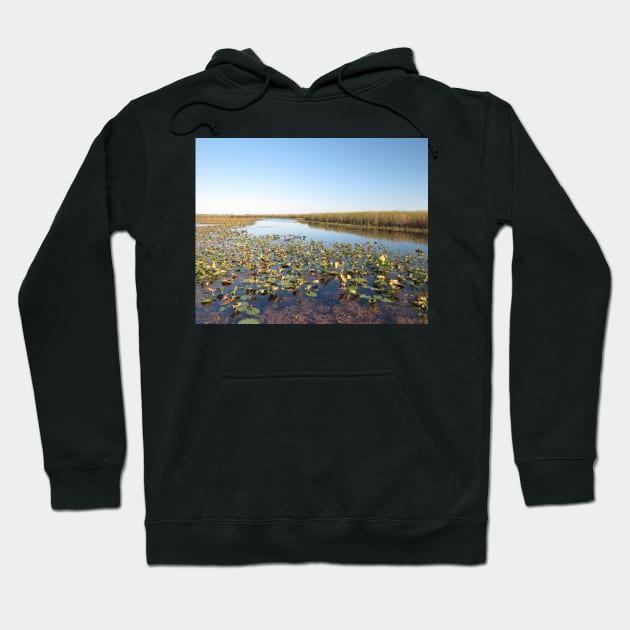 Wondrous Wetland Marsh - Point Pelee No.1 Hoodie by MaryLinH